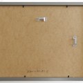 AASB3 FRAMED back