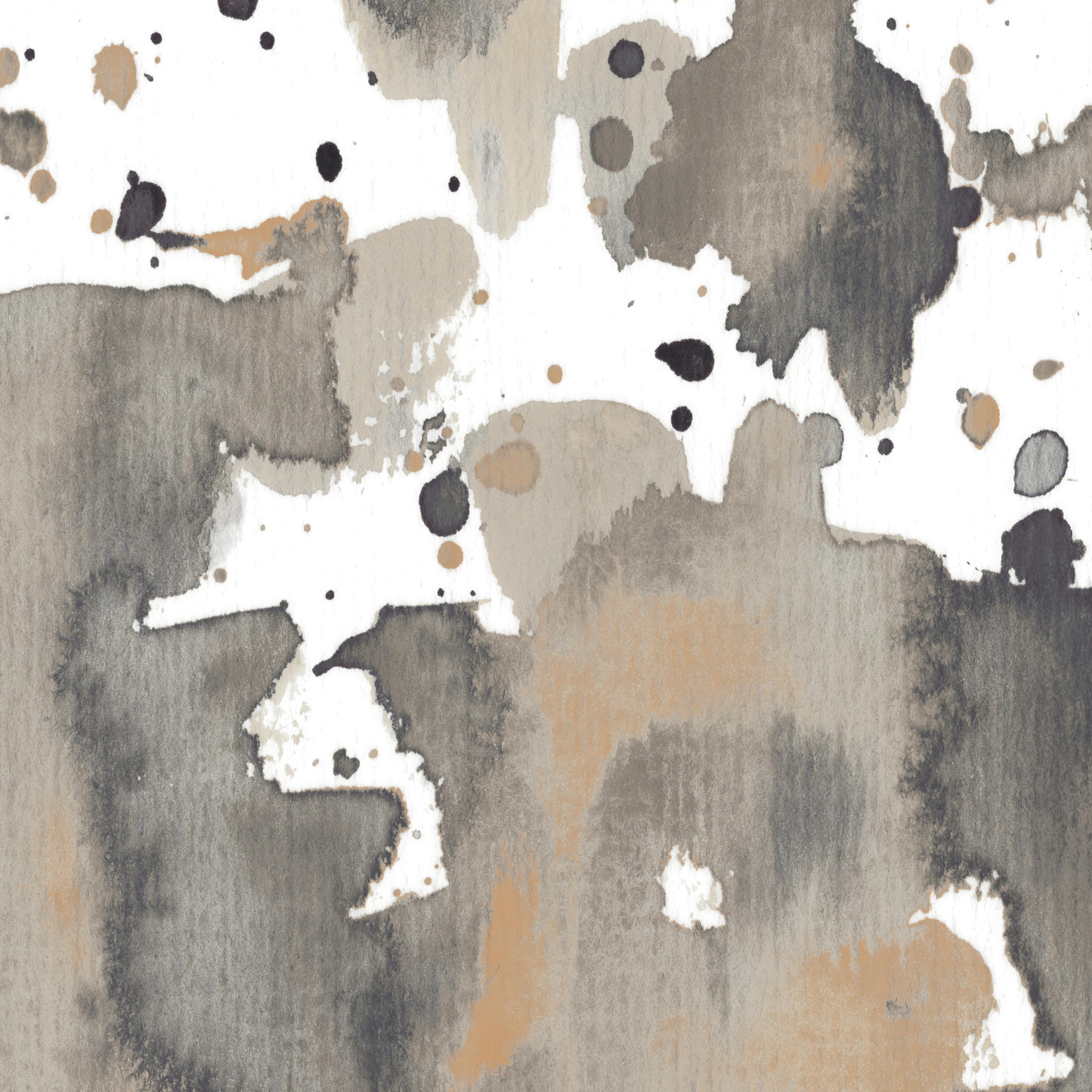 Beaver burst d©Marina Kanavaki