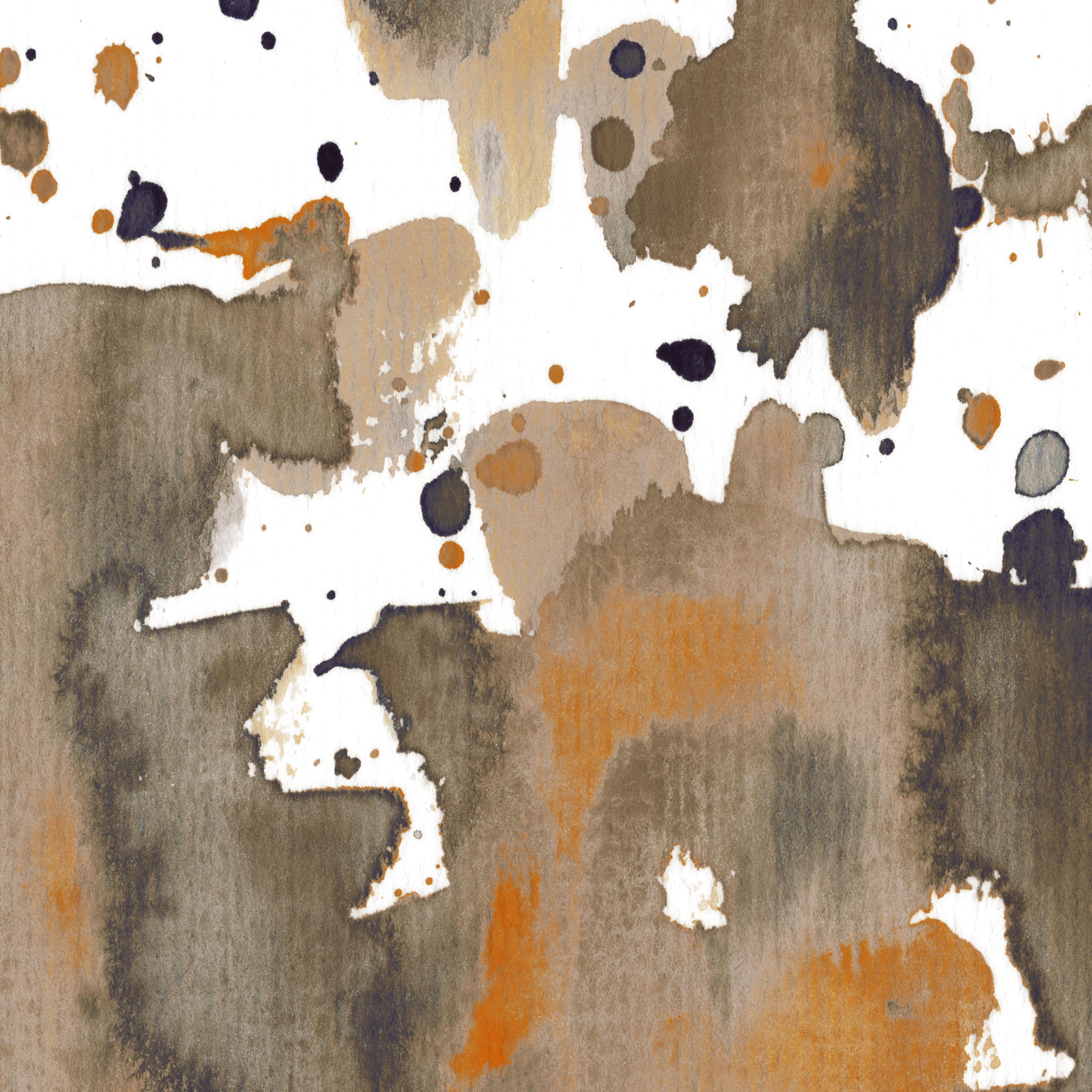 Bronze sepia burst d©Marina Kanavaki