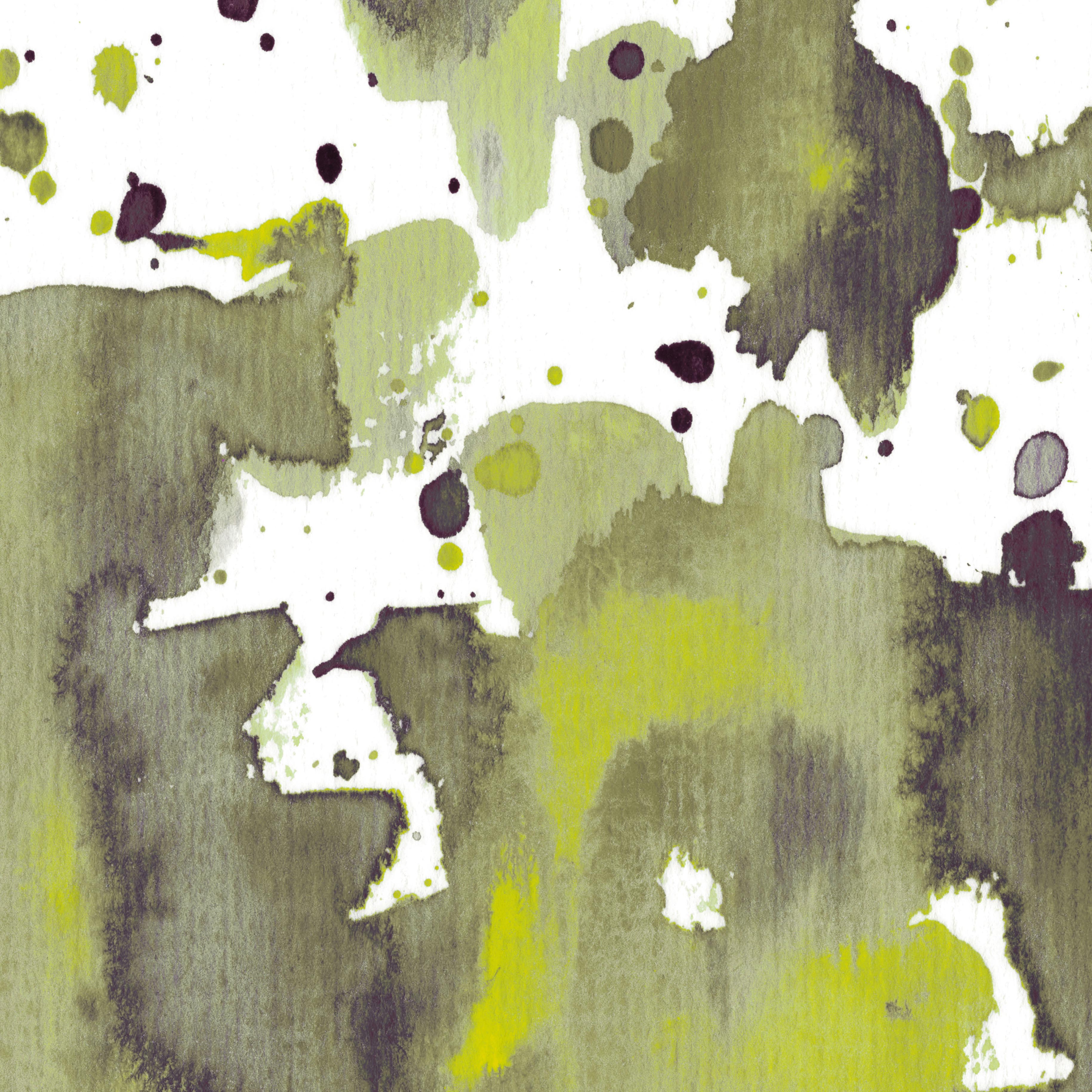 Chartreuse burst d©Marina Kanavaki