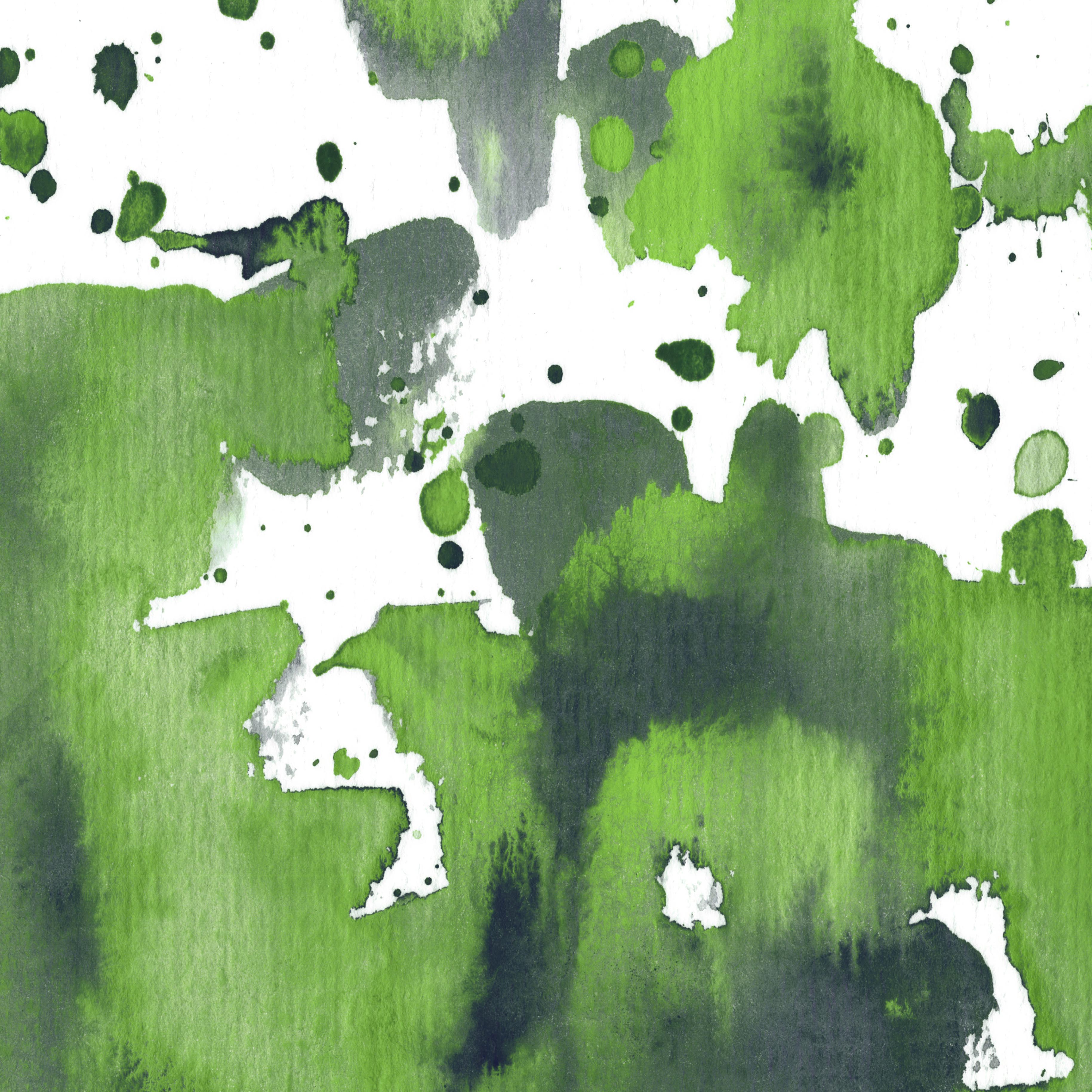 Forest burst d©Marina Kanavaki