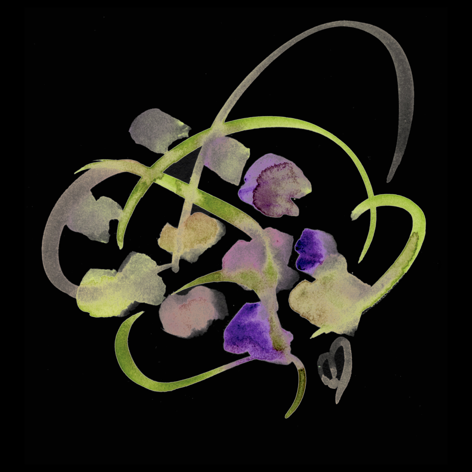 atom flower#19 on black©marina kanavaki