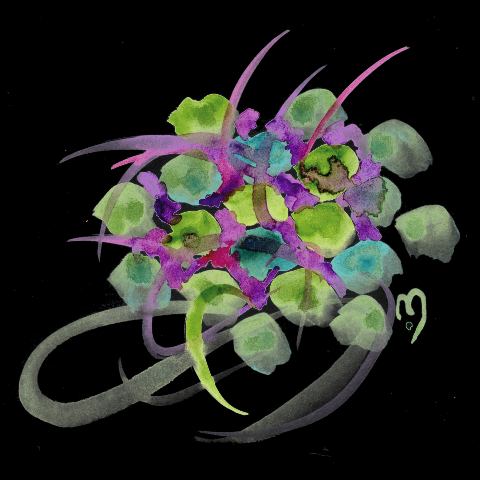 atom flowers#28 on black©marina kanavaki