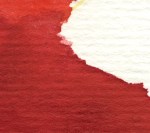 little chakra treedetail1Muladhara©marina kanavaki