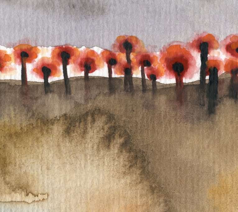 the woods IV det2©Marina Kanavaki