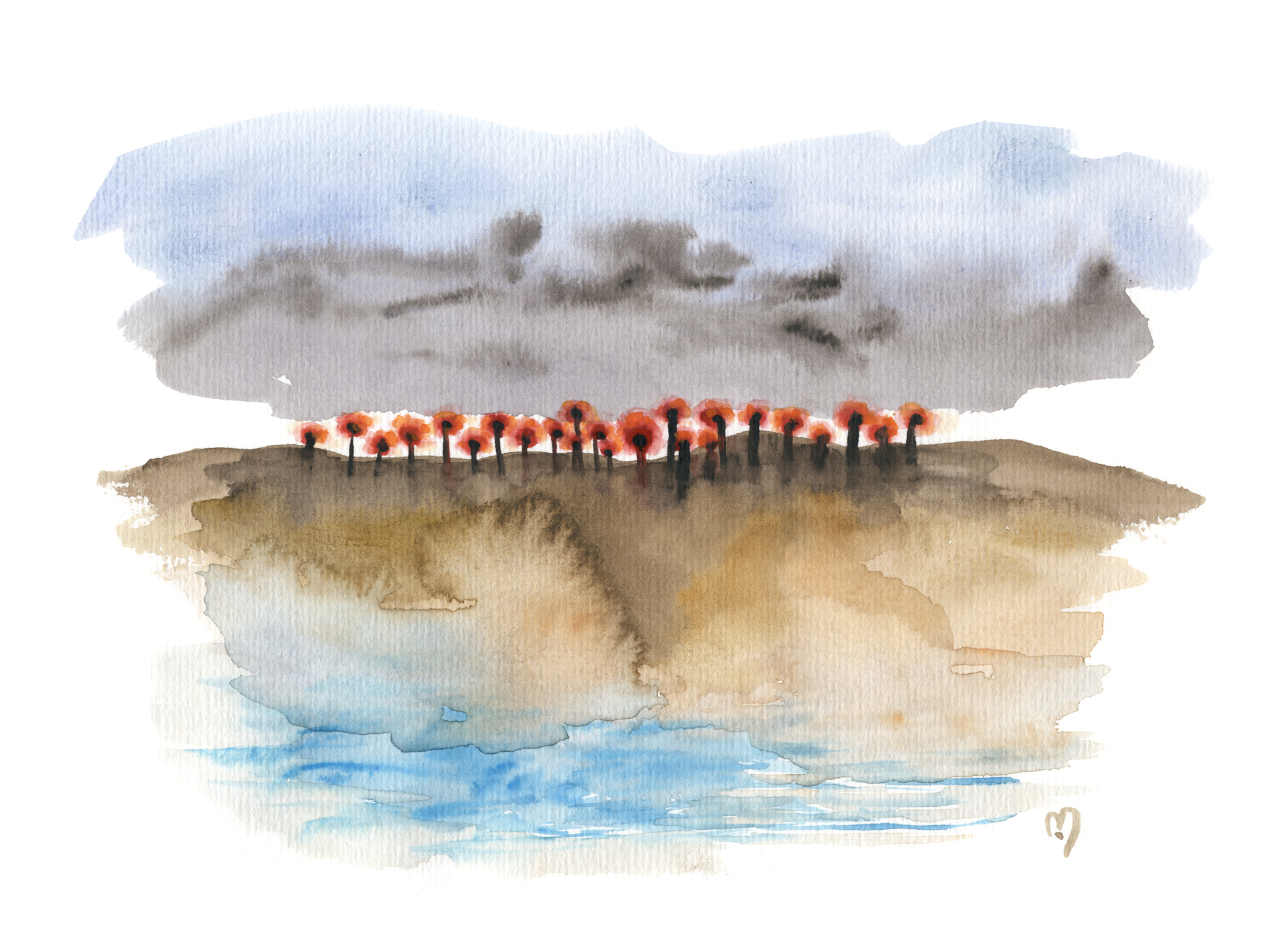 the woods IV©Marina Kanavaki