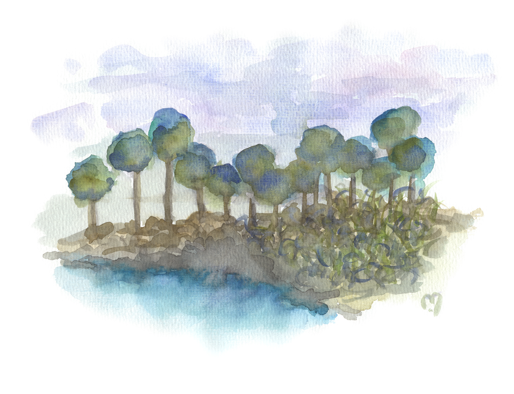 trees by the sea 2©marina kanavaki