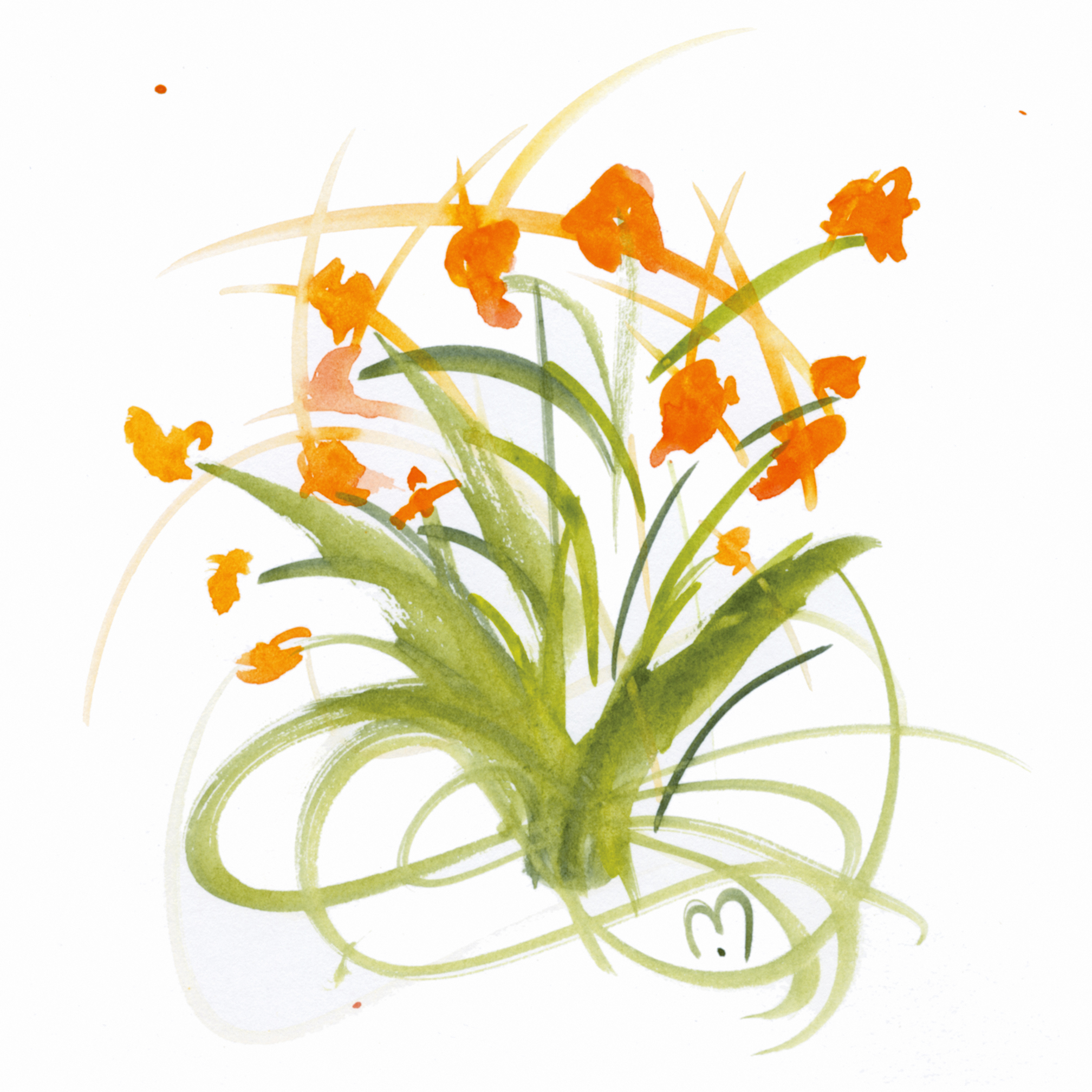 atom flower#27©marina kanavaki