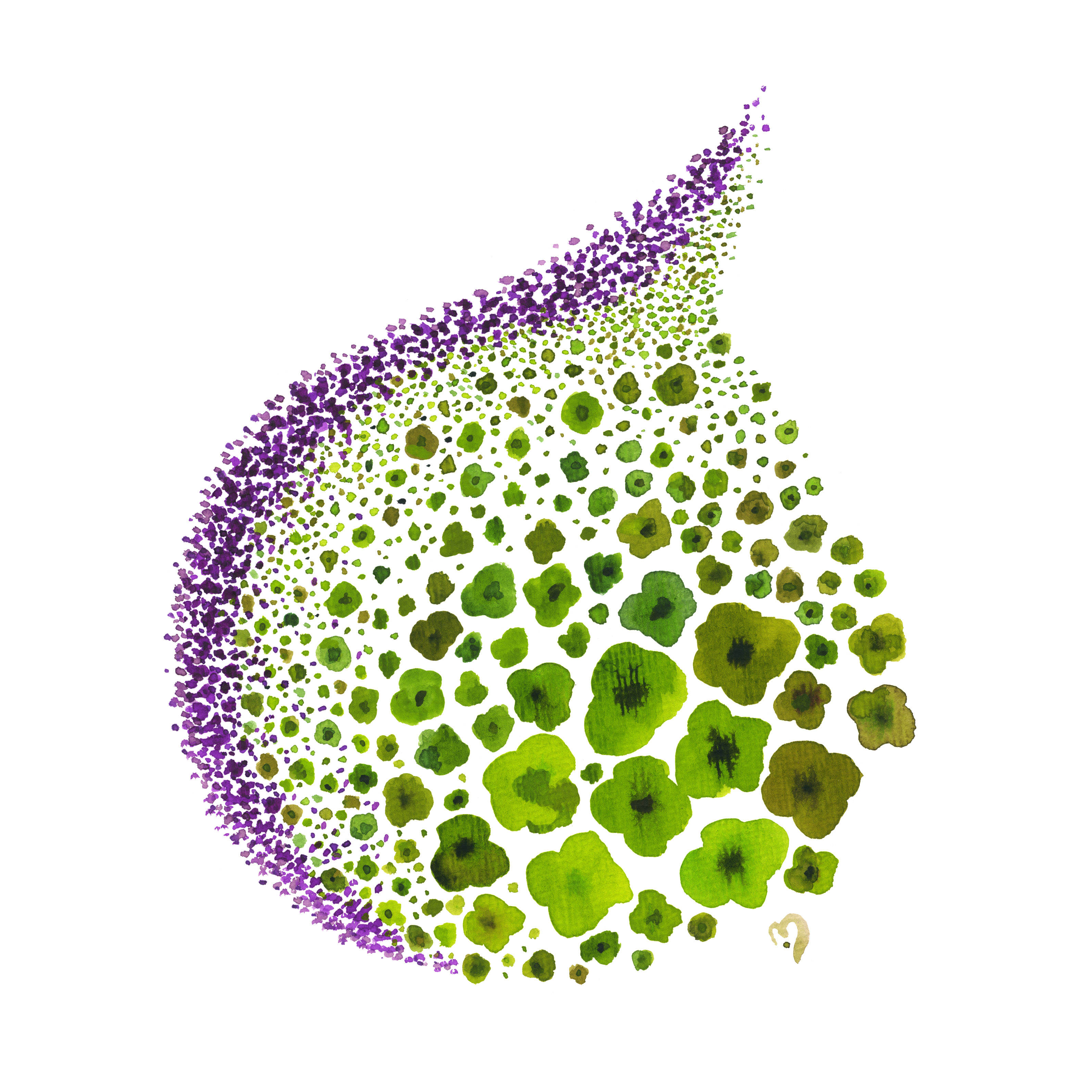 paths of color [g & p]©marina kanavaki