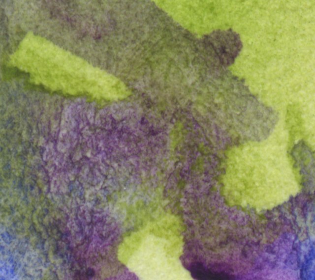 AtomFlowers13 det2 ©Marina Kanavaki