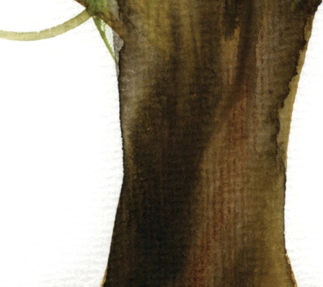 FORTUNE TREE#2 det3 ©Marina Kanavaki