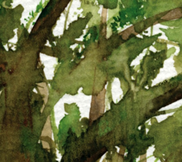 fortune tree#3 det1 ©Marina Kanavaki