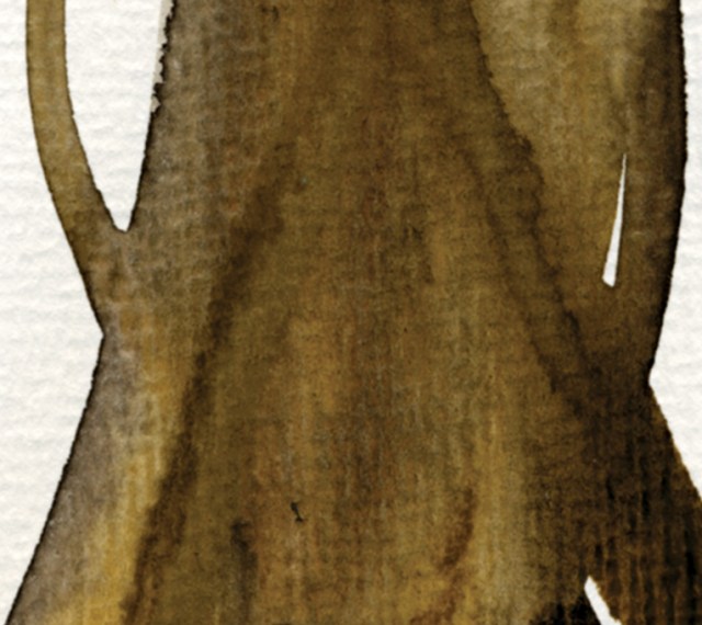 fortune tree#3 det3 ©Marina Kanavaki