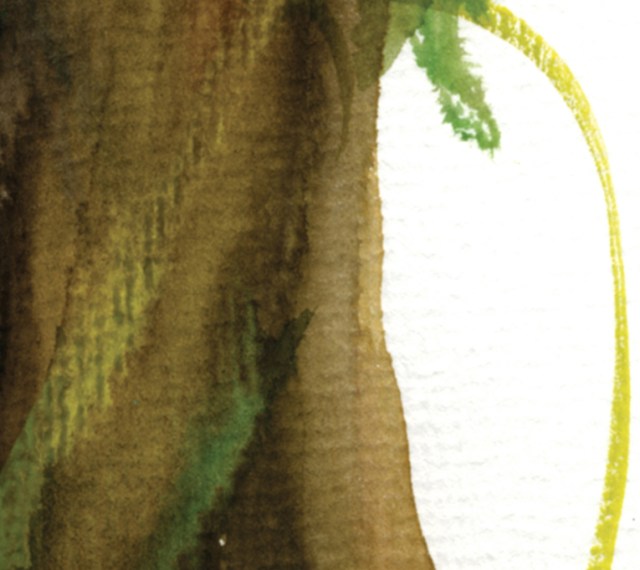 fortune tree#4 det2 ©Marina Kanavaki