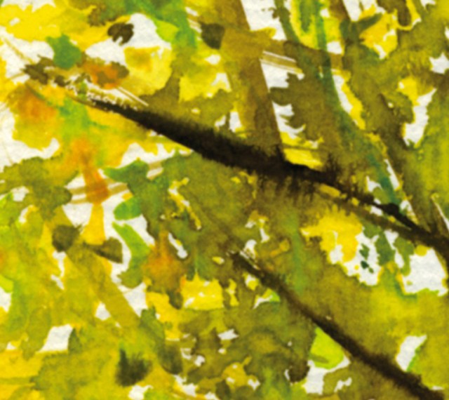 fortune tree#5 det1 ©Marina Kanavaki