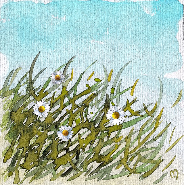 April Daisies©Marina Kanavaki