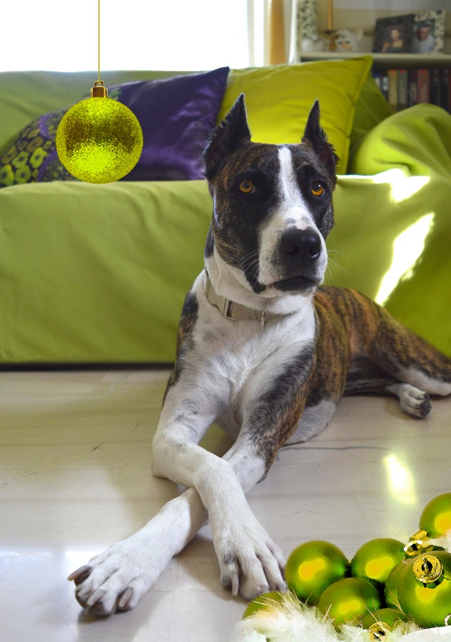 hera-calendar2017xmal