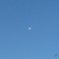 20171009_084303MorningMoon09102017