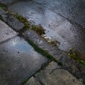 20171115_162339PavementRain