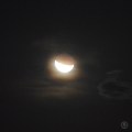 DSC_0516 (2)Moon11112017