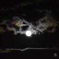DSC_0835 (1)FullMoon