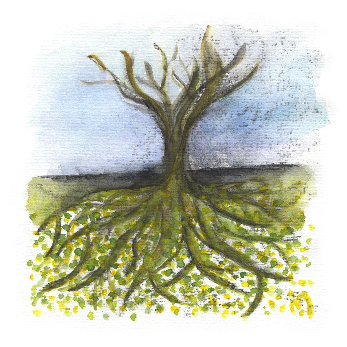 As Above So Below&nbsp;No11