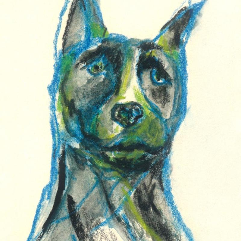 Pitbull Awareness 2023