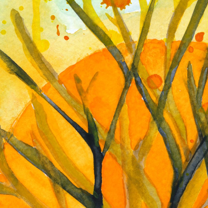 August Tree – Marina Kanavaki